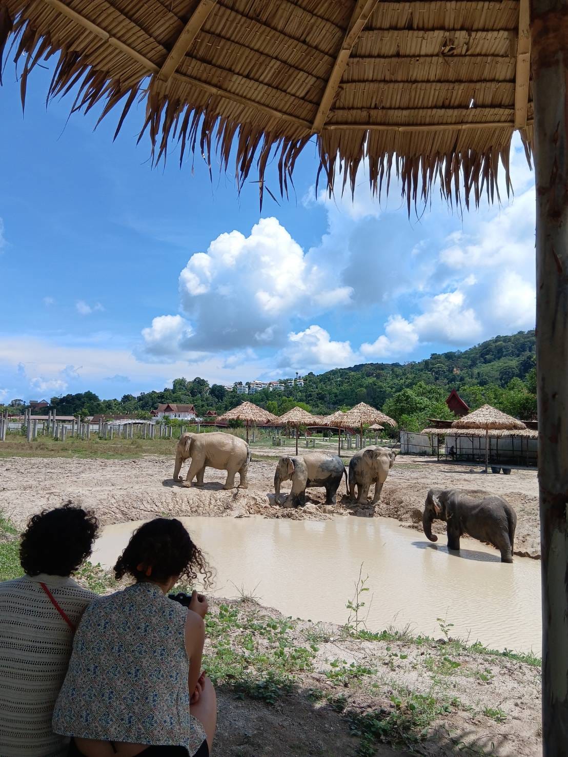 ETHEREAL NATURE WALK 14:30 - 16:00 - Freedom Elephant Reserve Phuket